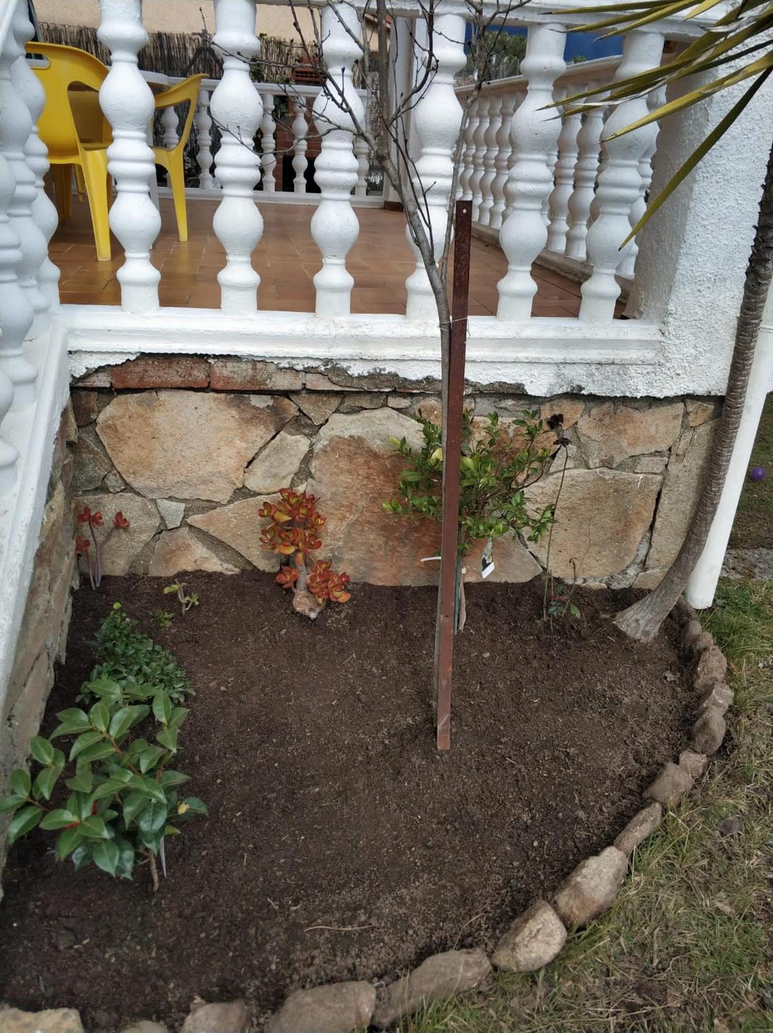 La lechuza blanca