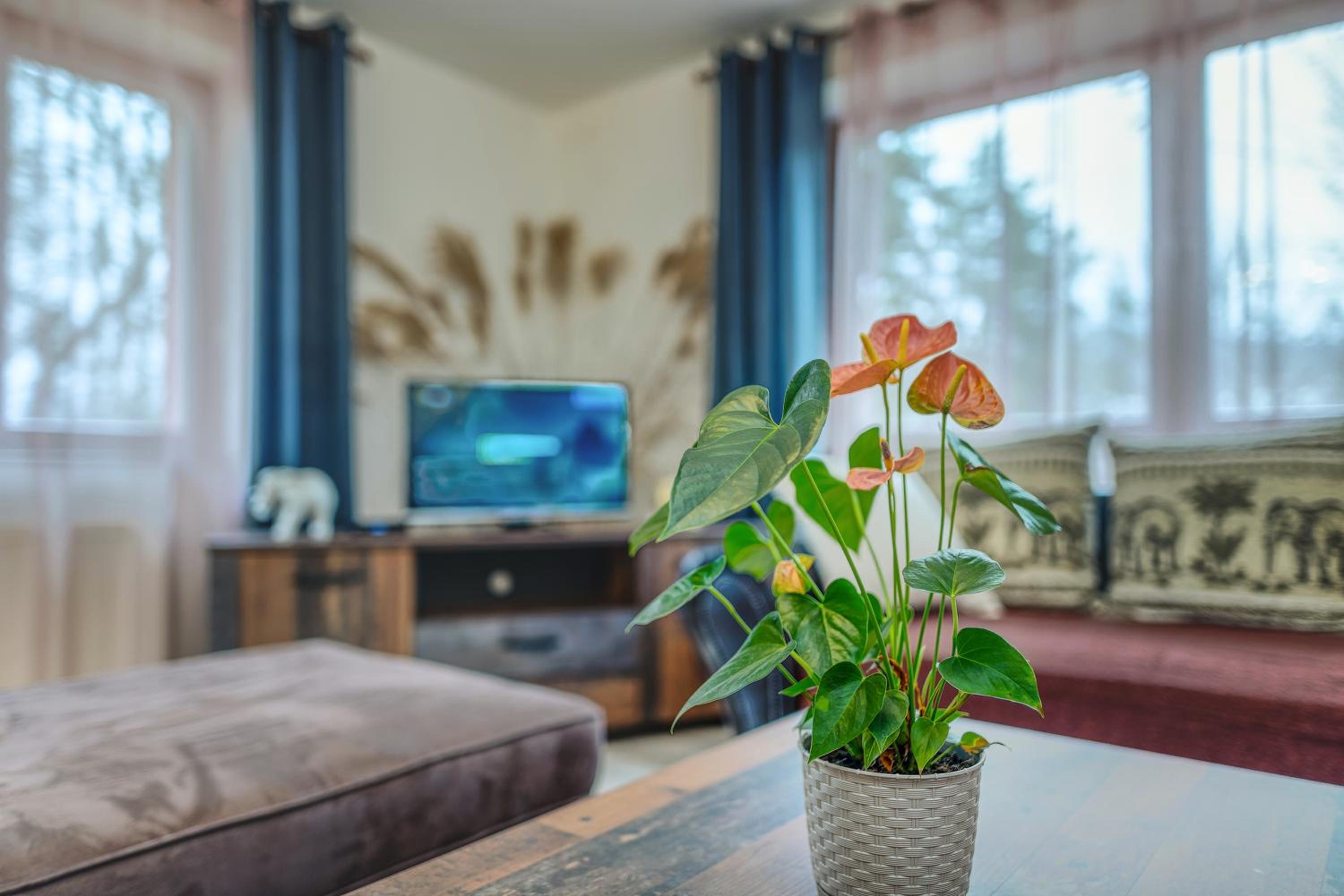 Apartmány Kašper