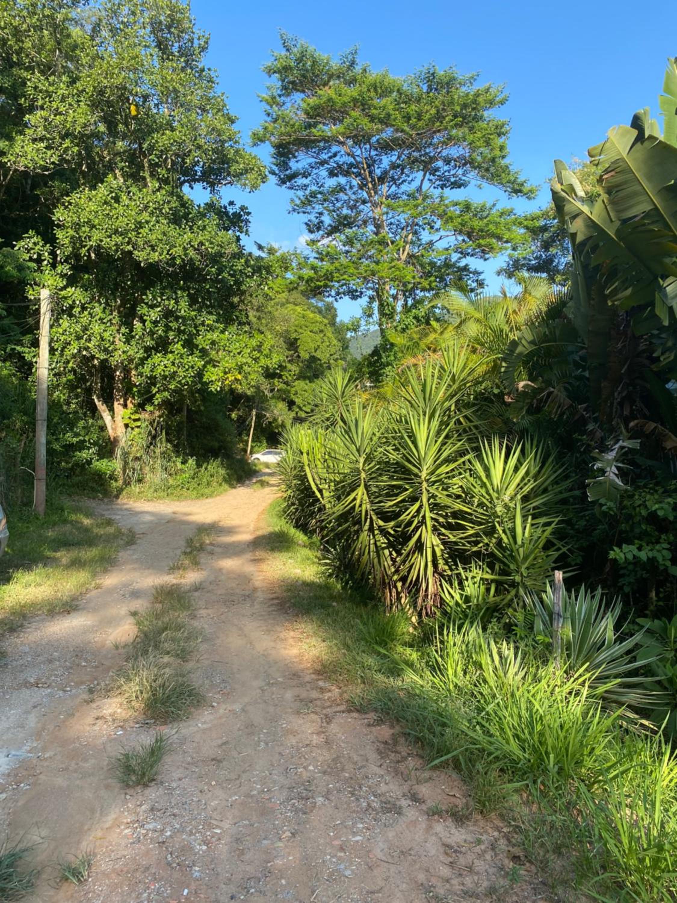 Cantinho na natureza perto das melhores praias