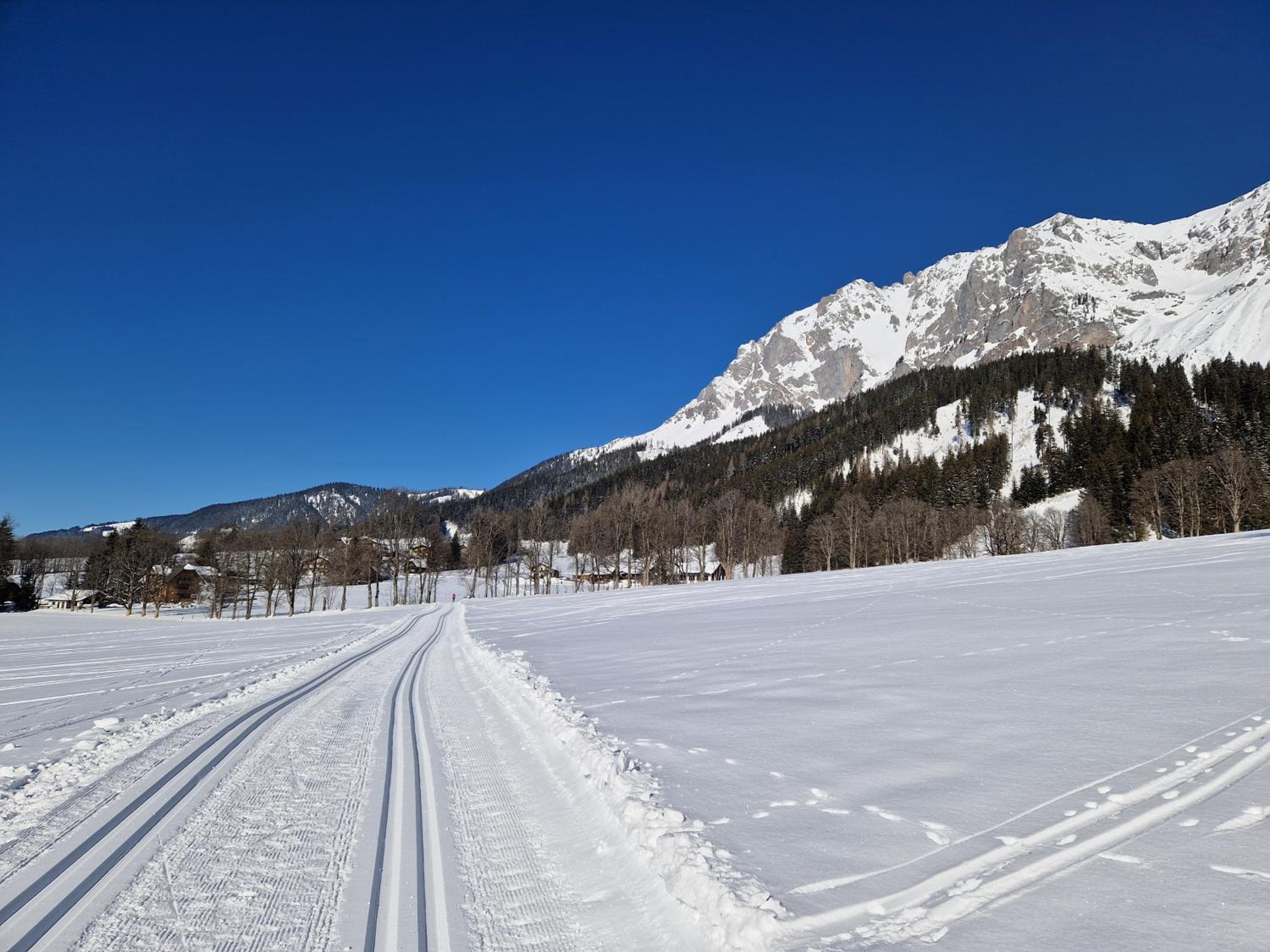 Appartement BERGTRÄUME
