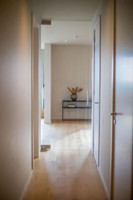 Georgie Light, lofty luxurious view 5