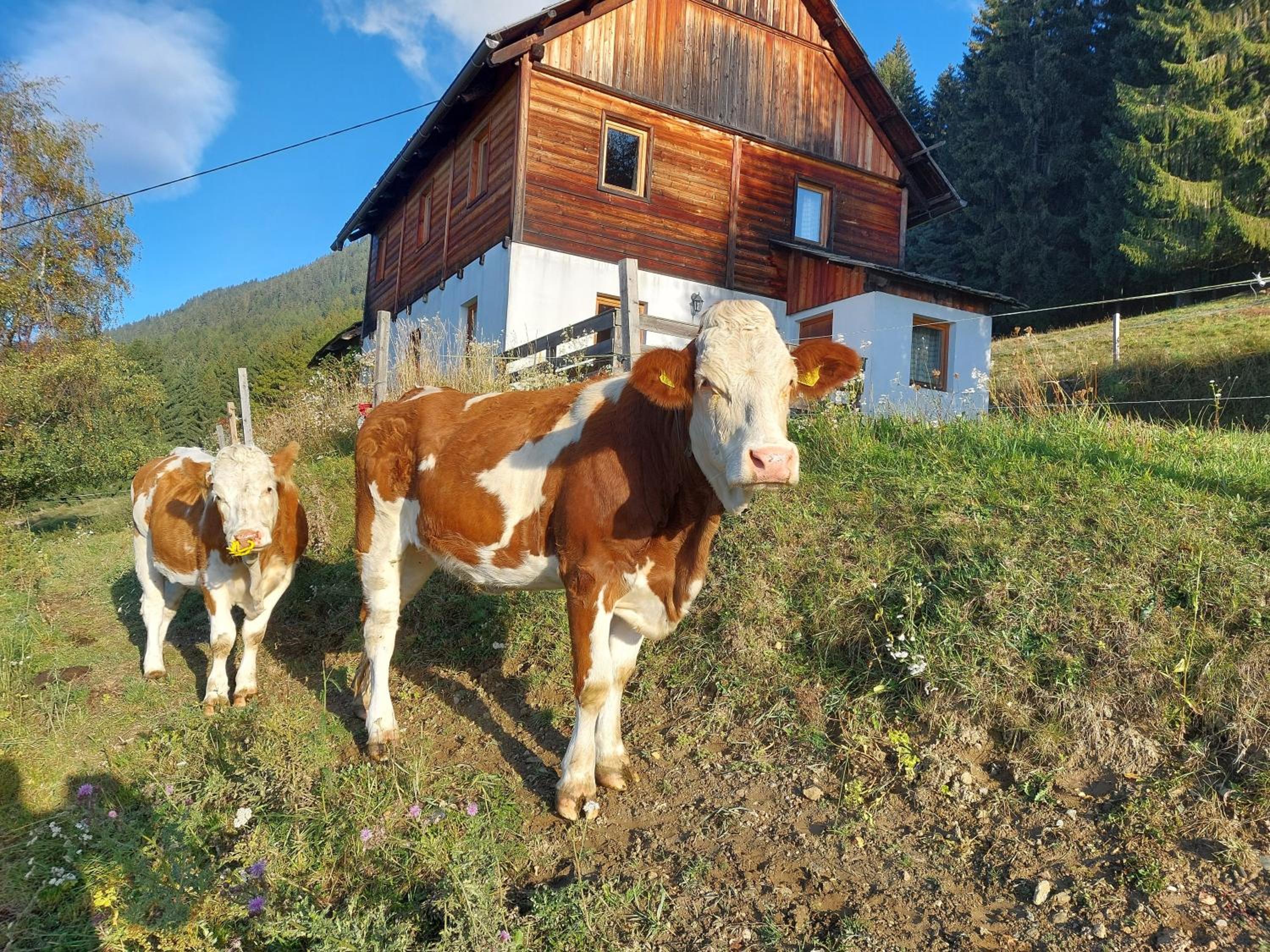 Karlbauer Hütte