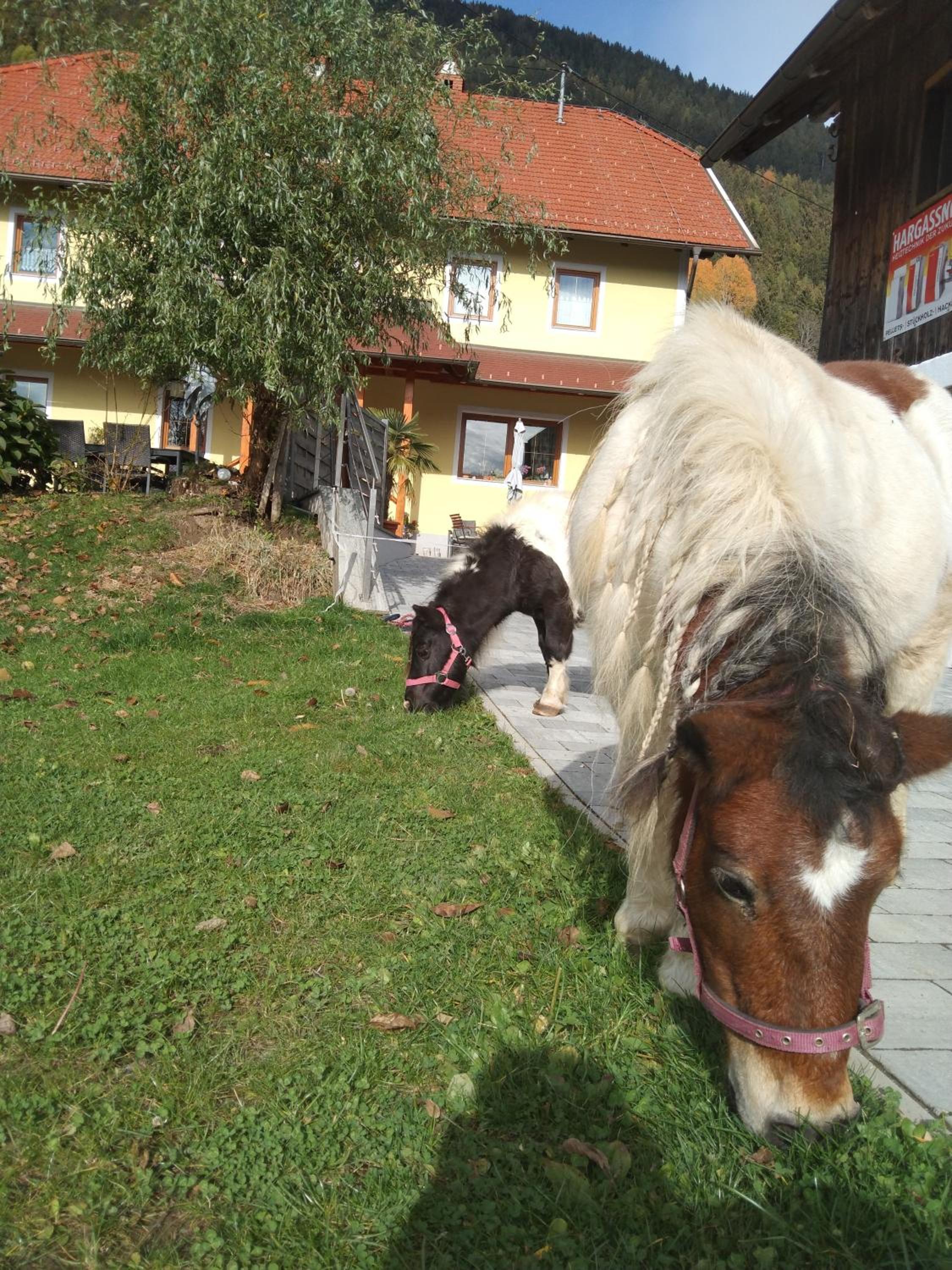 Karlbauer Hütte
