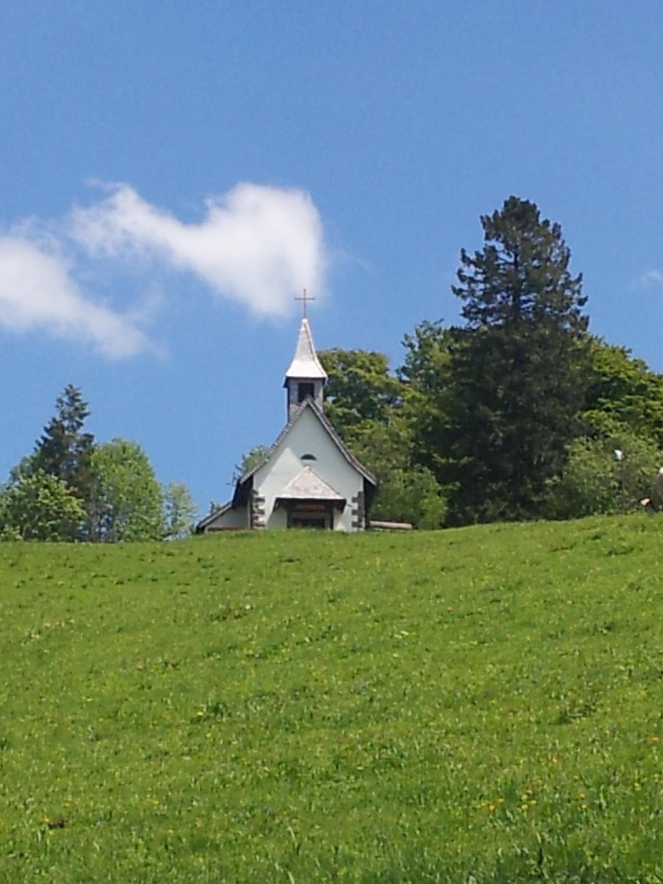 Photo 21