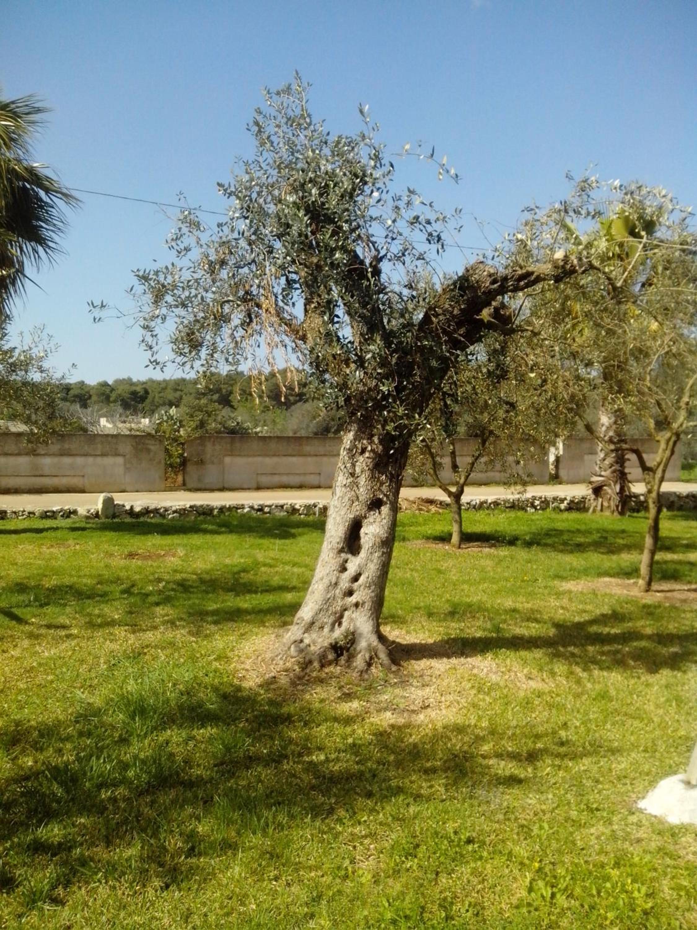 Photo 24