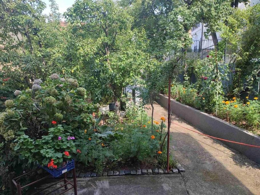 Apartman Hadžibeg