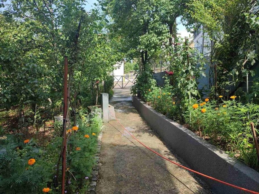 Apartman Hadžibeg