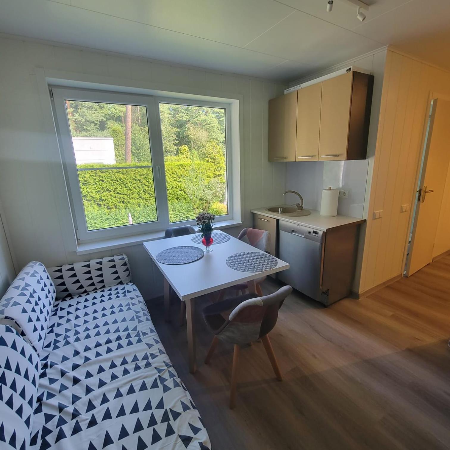 Eco apartment in Jurmala view 2