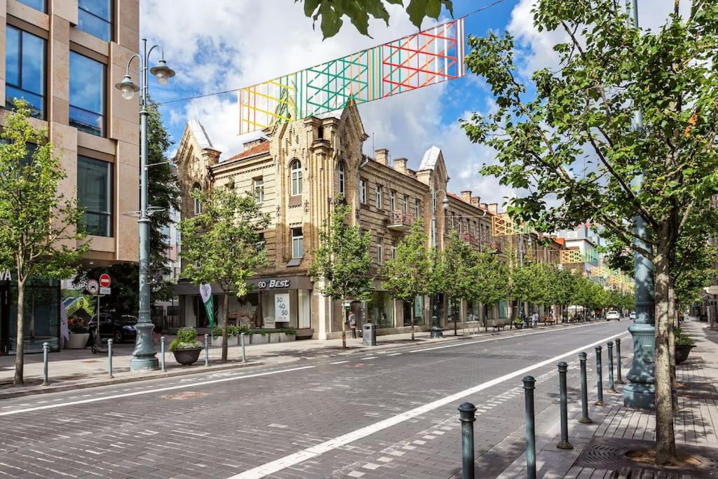 Luxury apartment in Gedimino av.