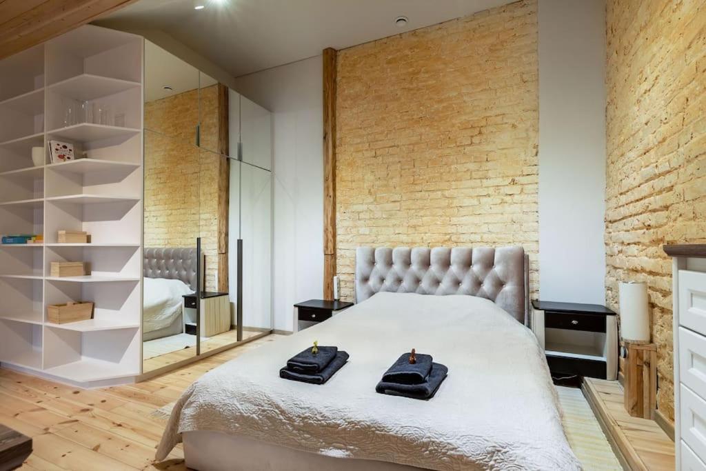 Luxury apartment in Gedimino av.