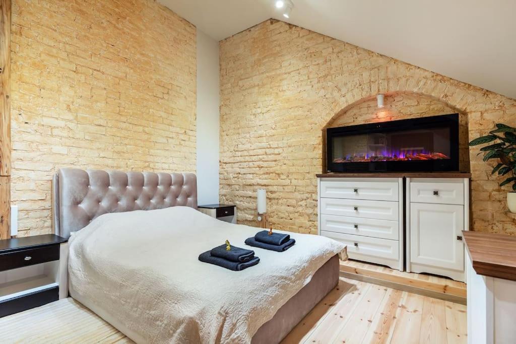 Luxury apartment in Gedimino av.