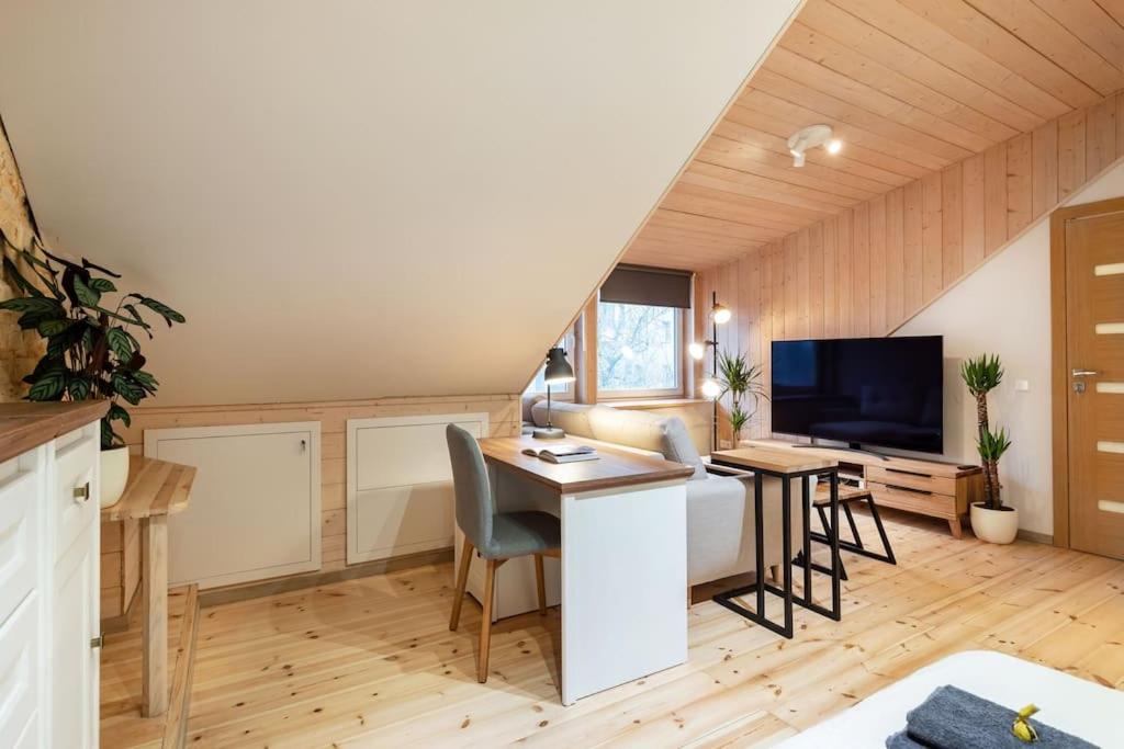 Luxury apartment in Gedimino av.