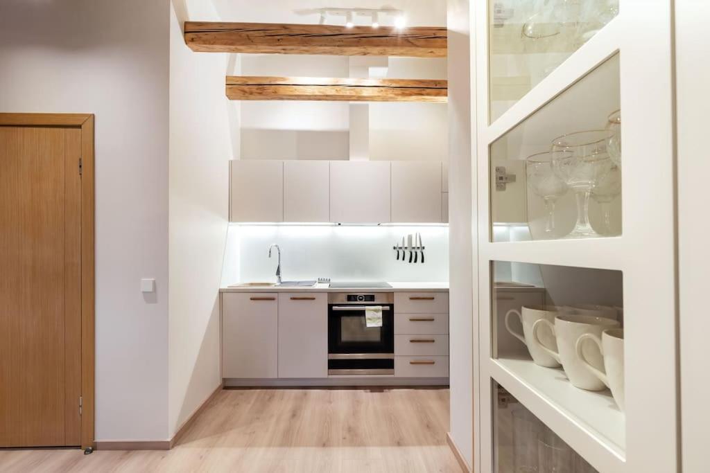 Luxury apartment in Gedimino av.