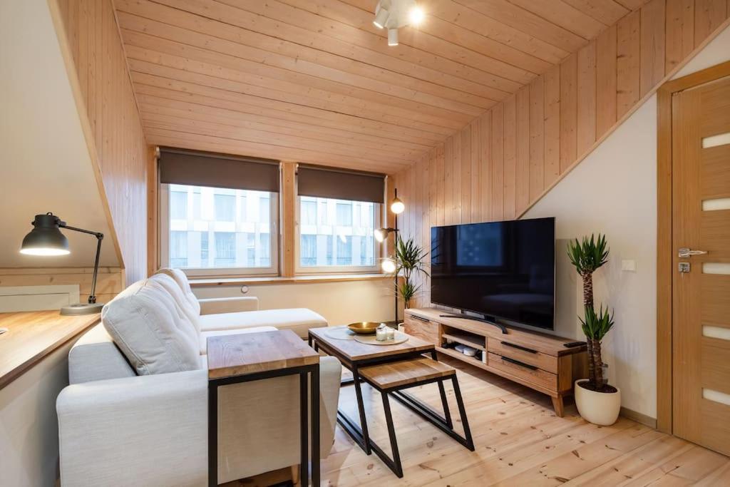 Luxury apartment in Gedimino av.