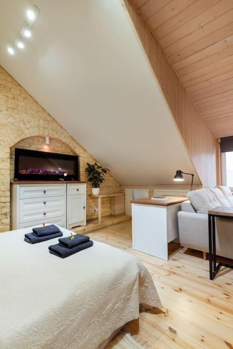 Luxury apartment in Gedimino av.