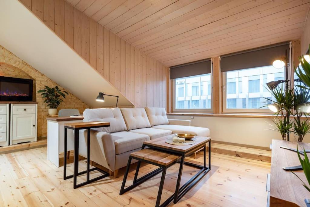 Luxury apartment in Gedimino av.