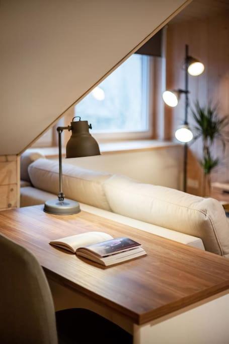 Luxury apartment in Gedimino av.