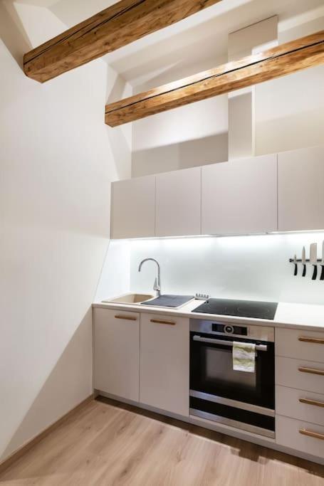 Luxury apartment in Gedimino av.