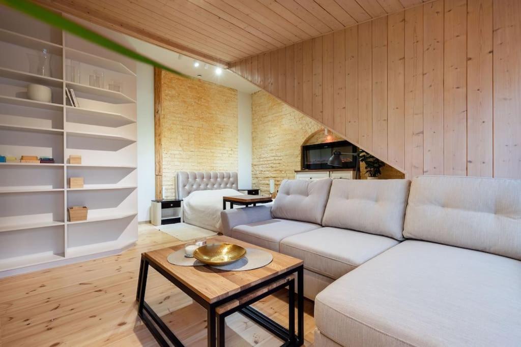 Luxury apartment in Gedimino av.