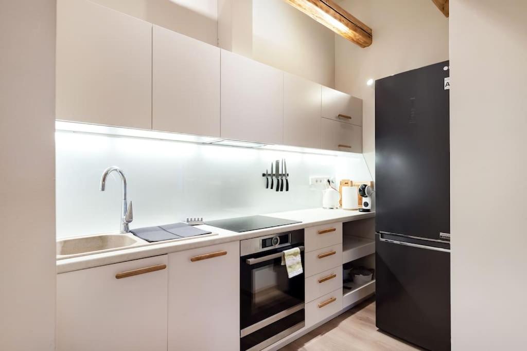 Luxury apartment in Gedimino av.
