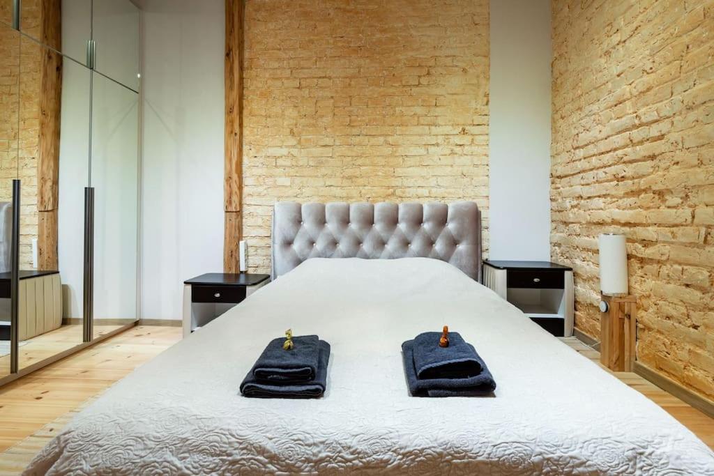 Luxury apartment in Gedimino av.