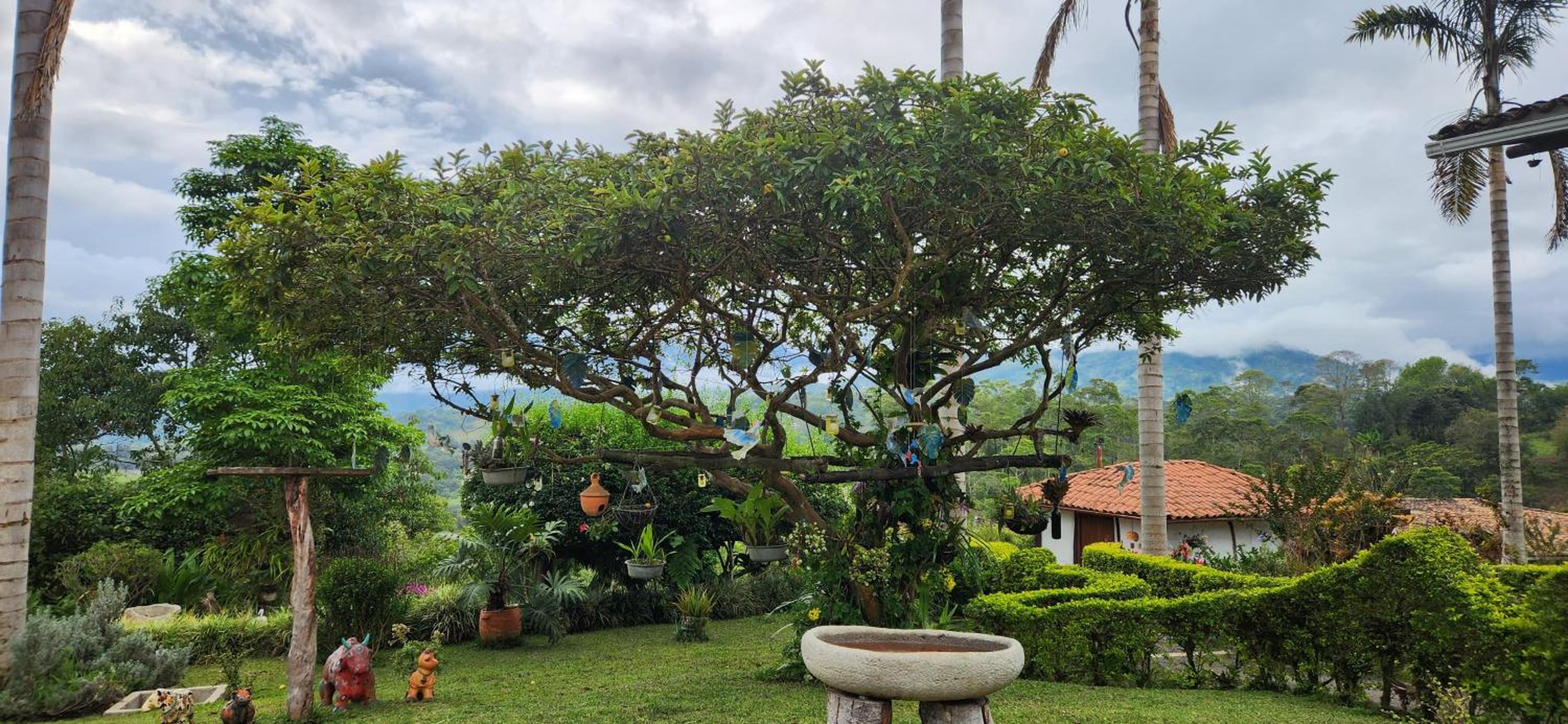 Akawanka Lodge view 5
