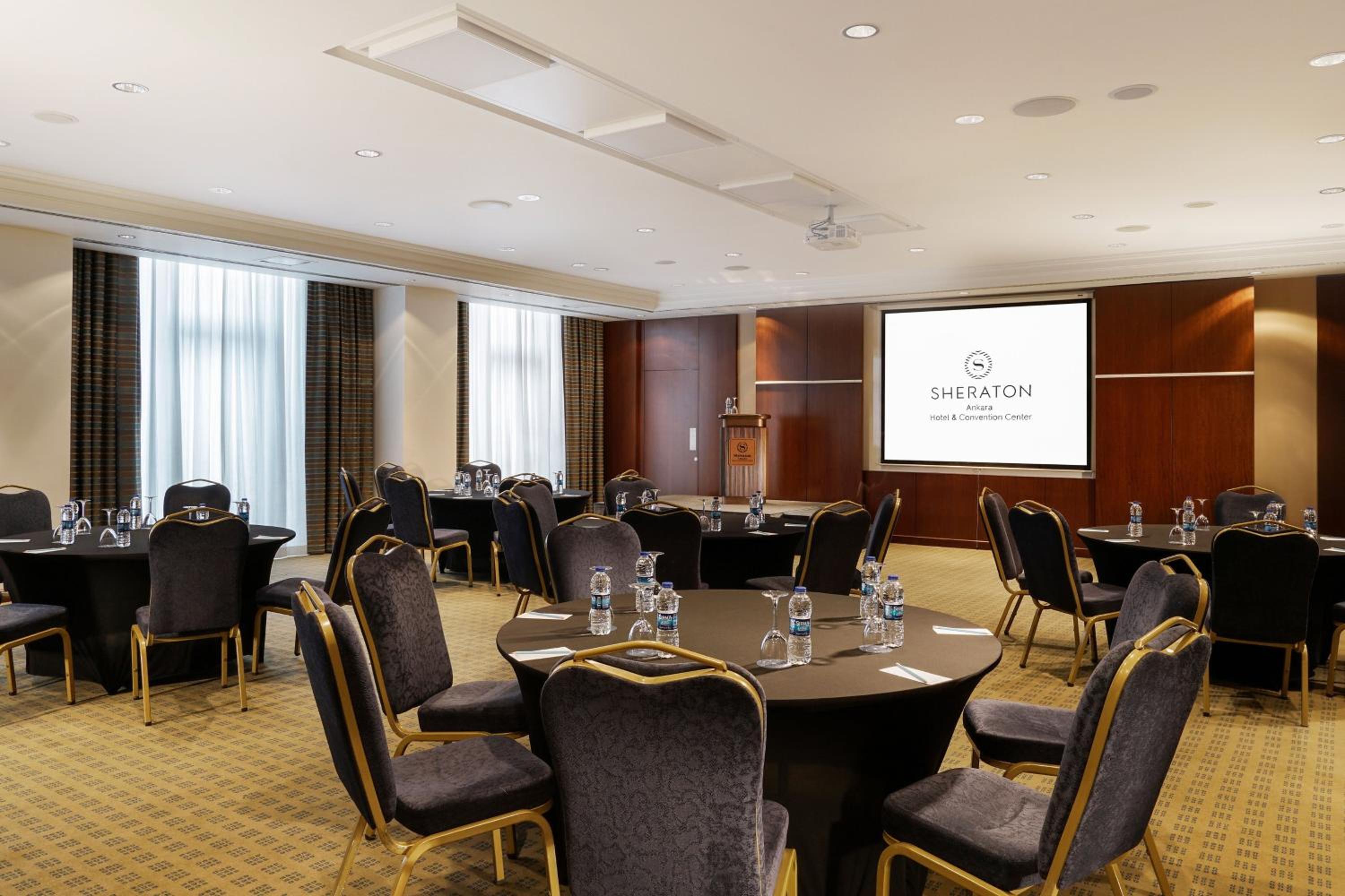 Sheraton Ankara Hotel & Convention Center - Image 91