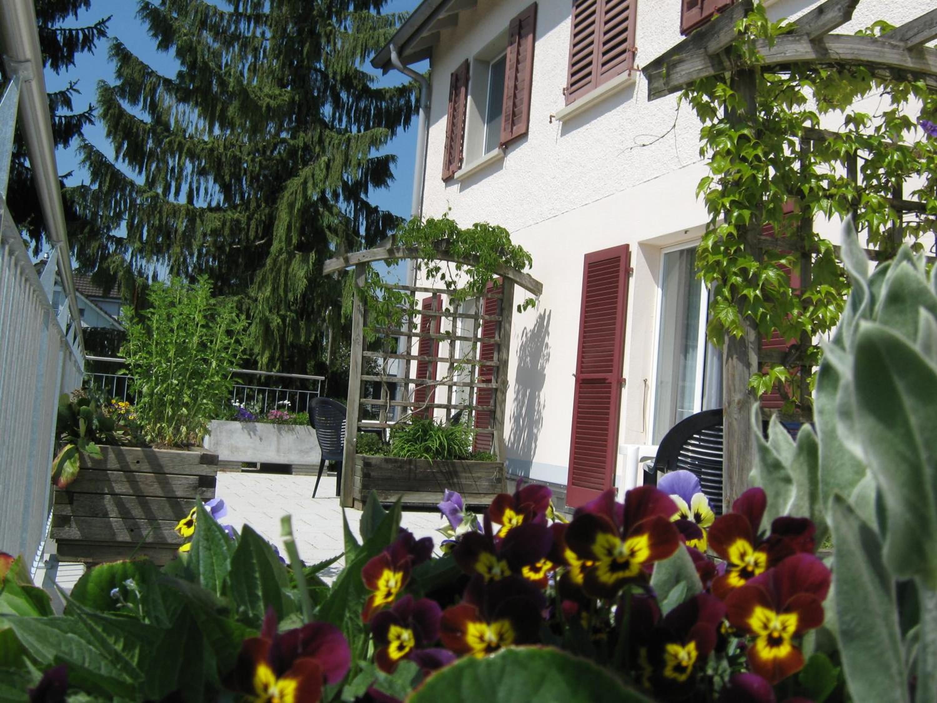Photo 14