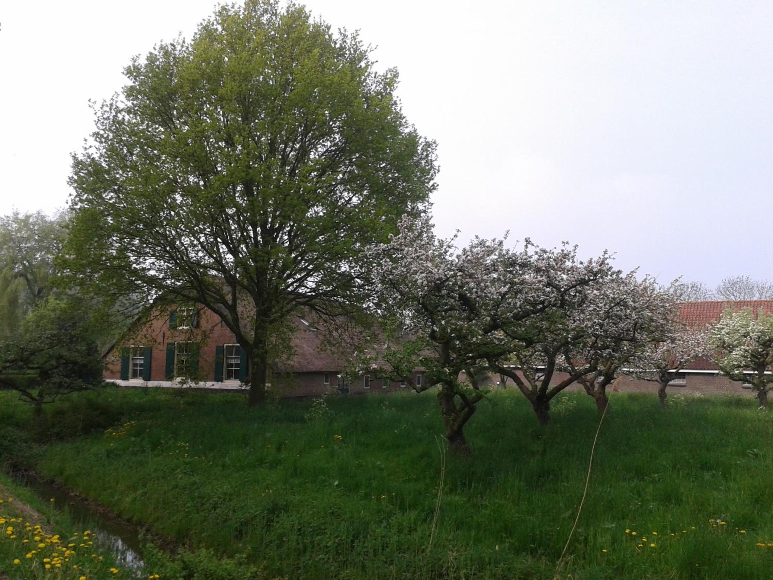 Photo 22
