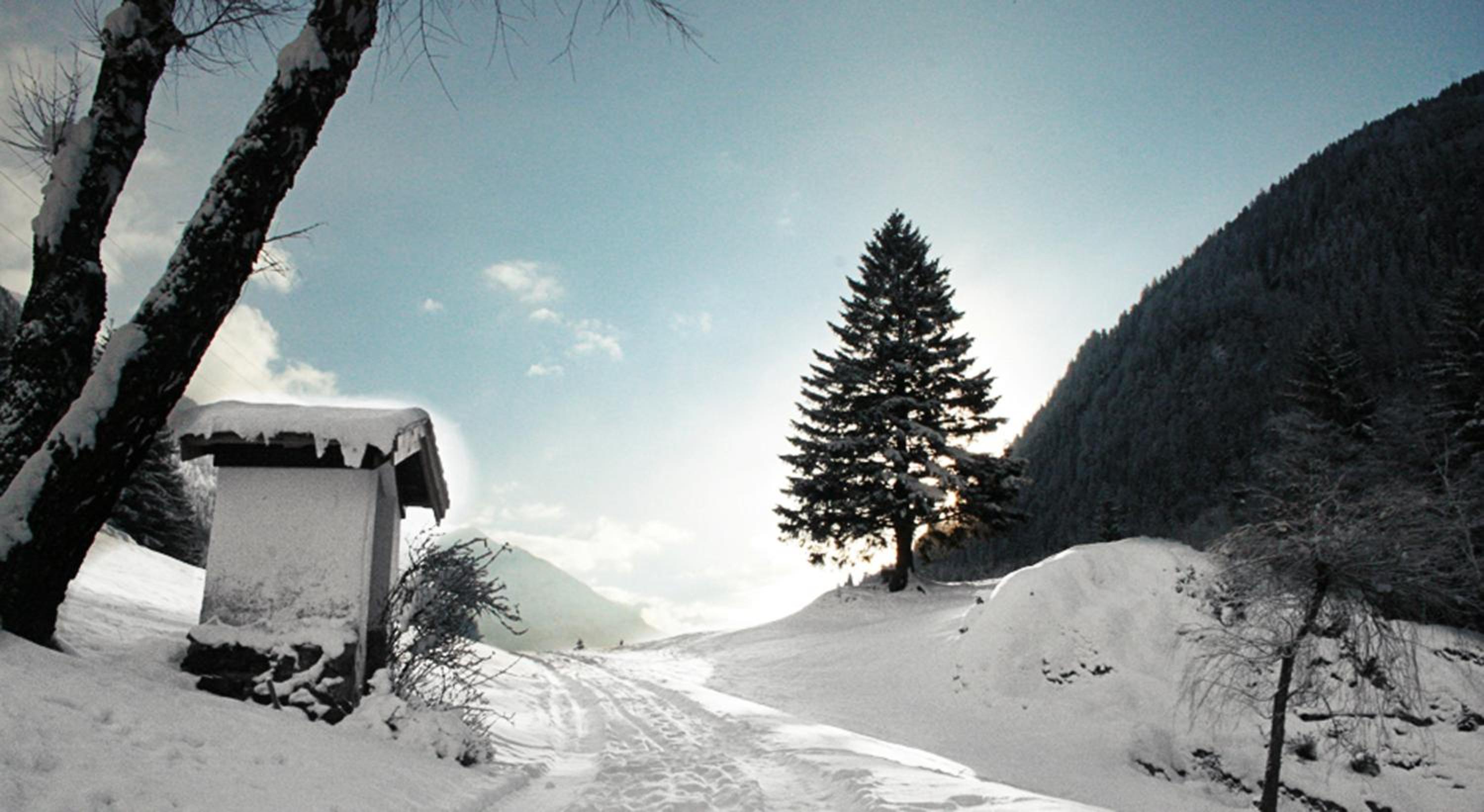 Apartments HAUS SCHÖN - Preise inclusive Pitztal Sommer Card