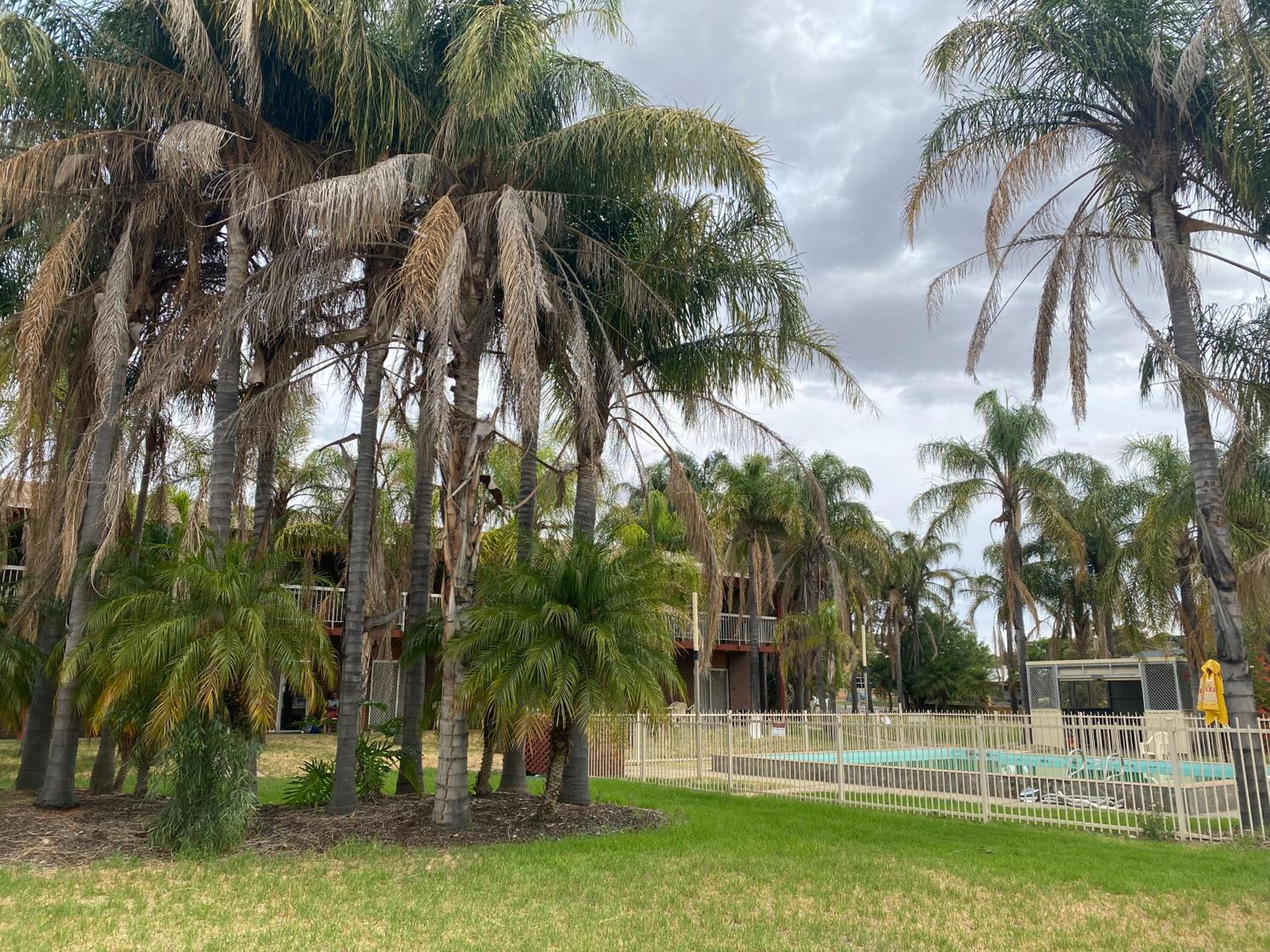 Barmera Hotel Motel
