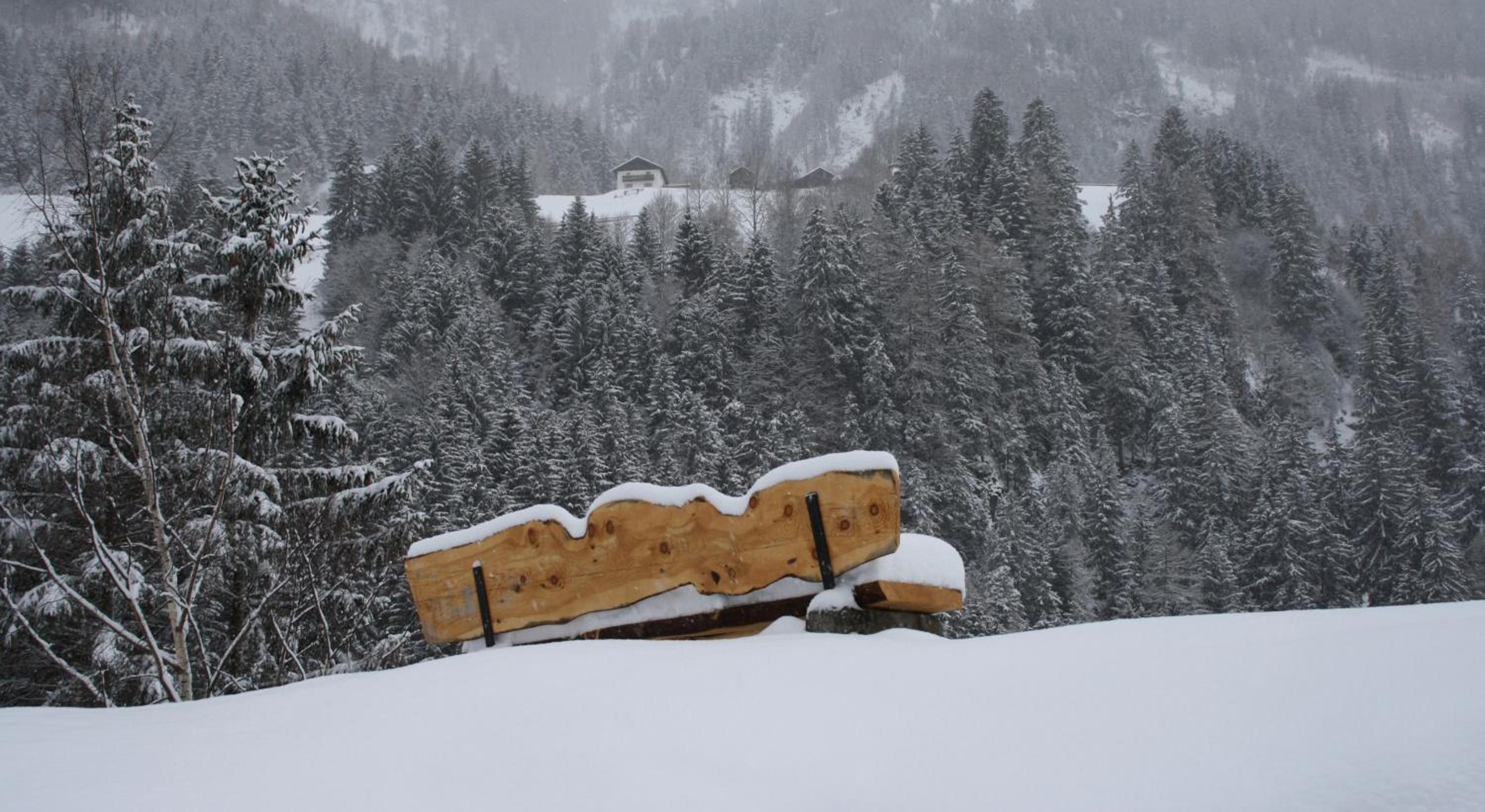 Apartments HAUS SCHÖN - Preise inclusive Pitztal Sommer Card