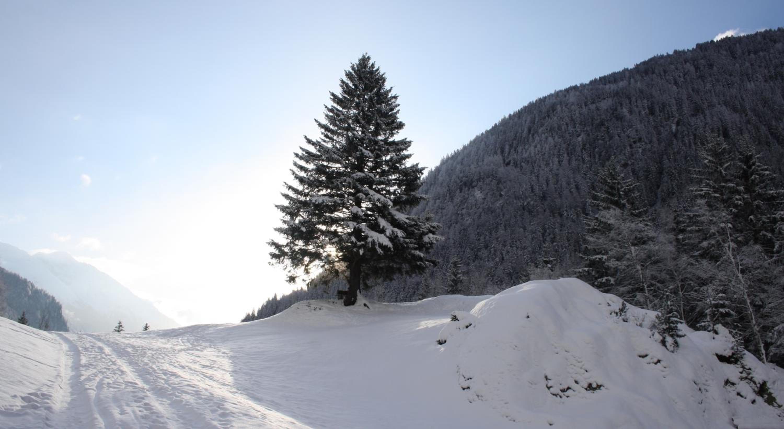 Apartments HAUS SCHÖN - Preise inclusive Pitztal Sommer Card