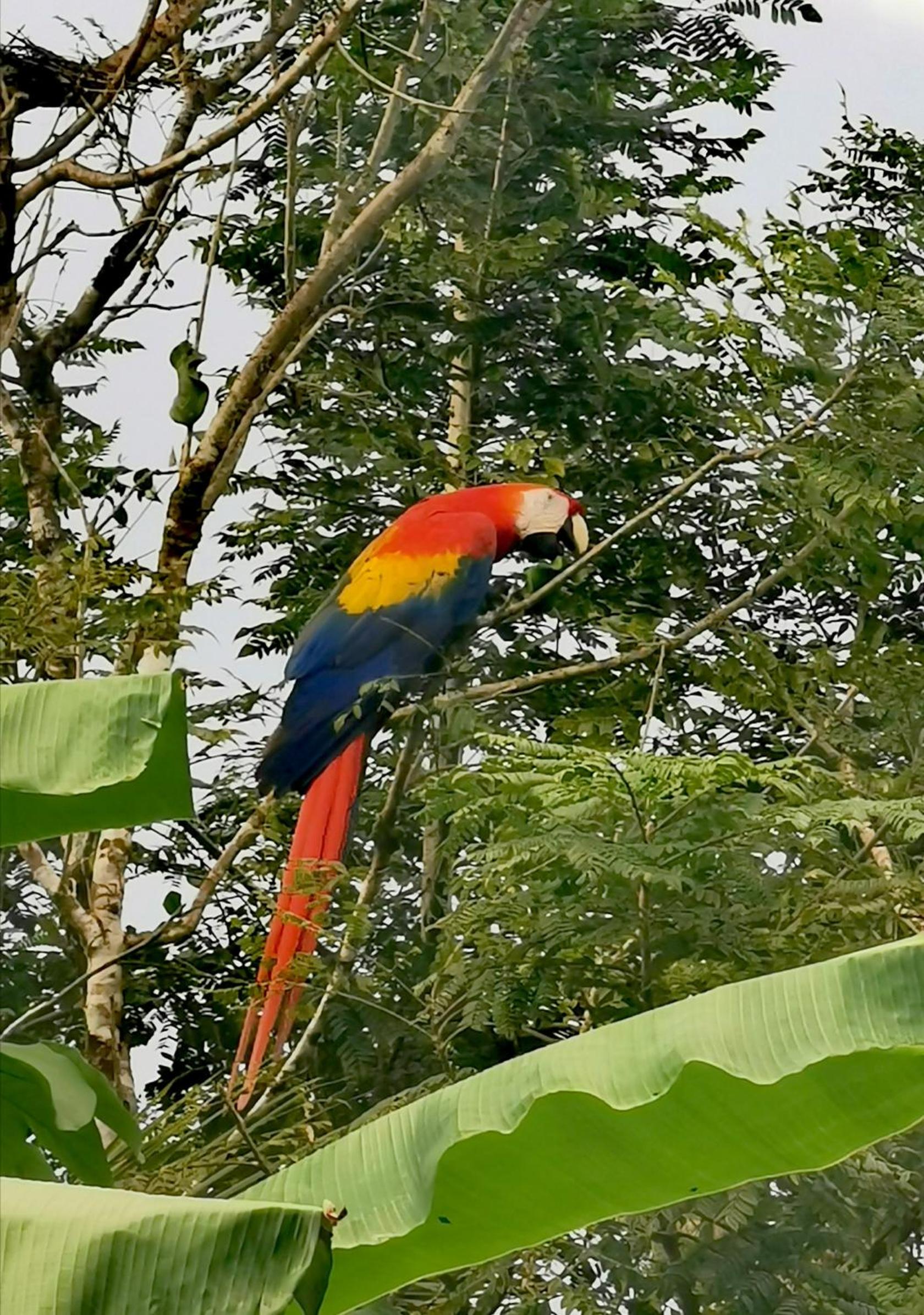 Nueva Vida Birding Paradise