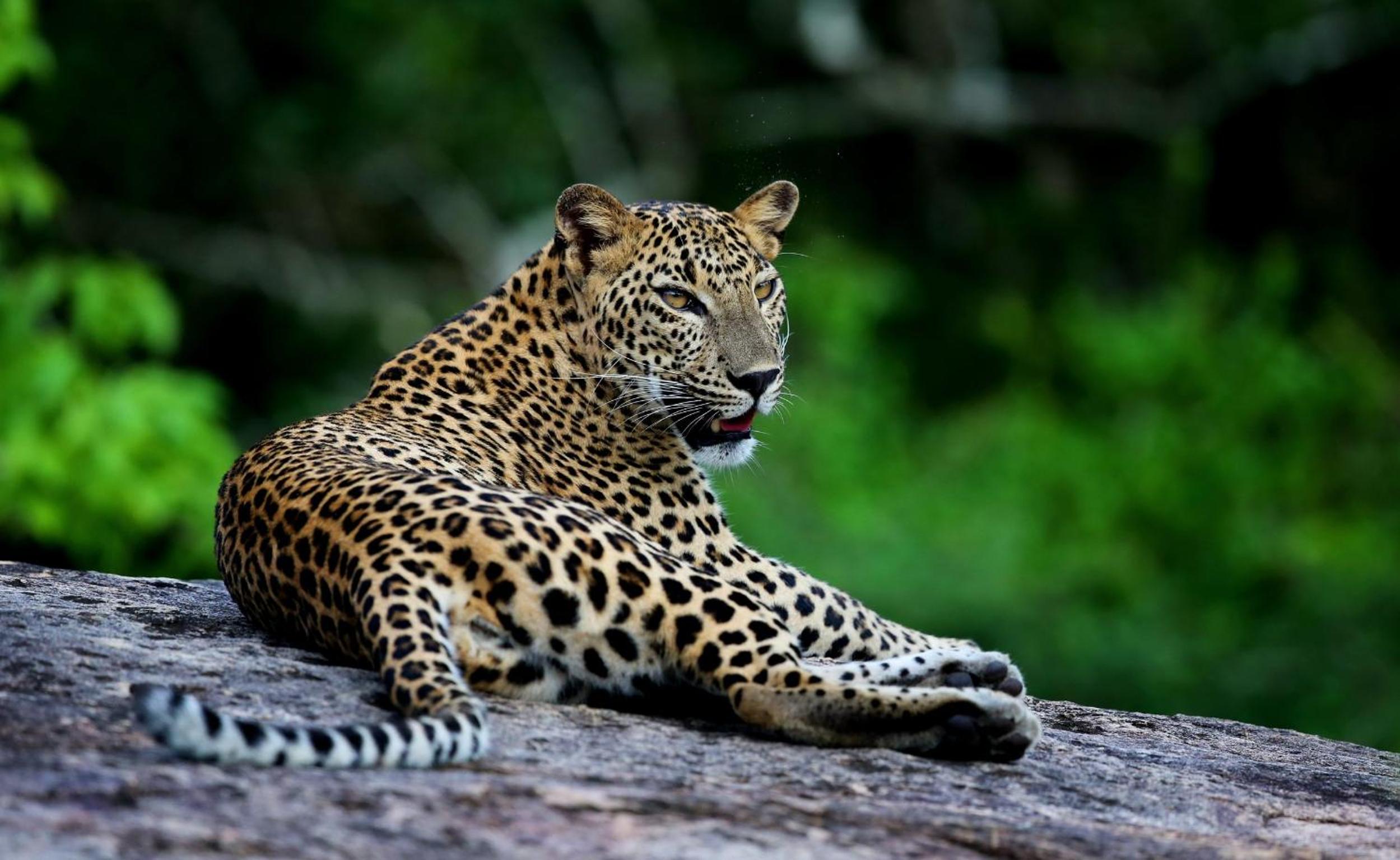 Wild Coast Tented Lodge - Relais and Chateaux - All Inclusive 48