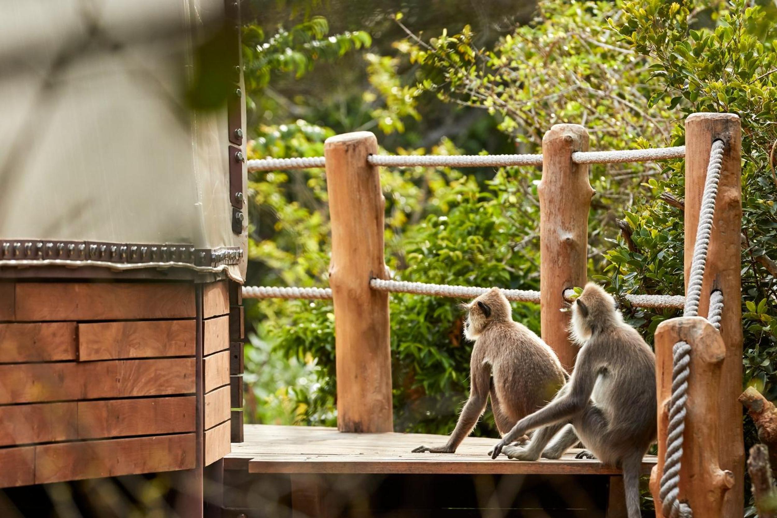 Wild Coast Tented Lodge - Relais and Chateaux - All Inclusive 47