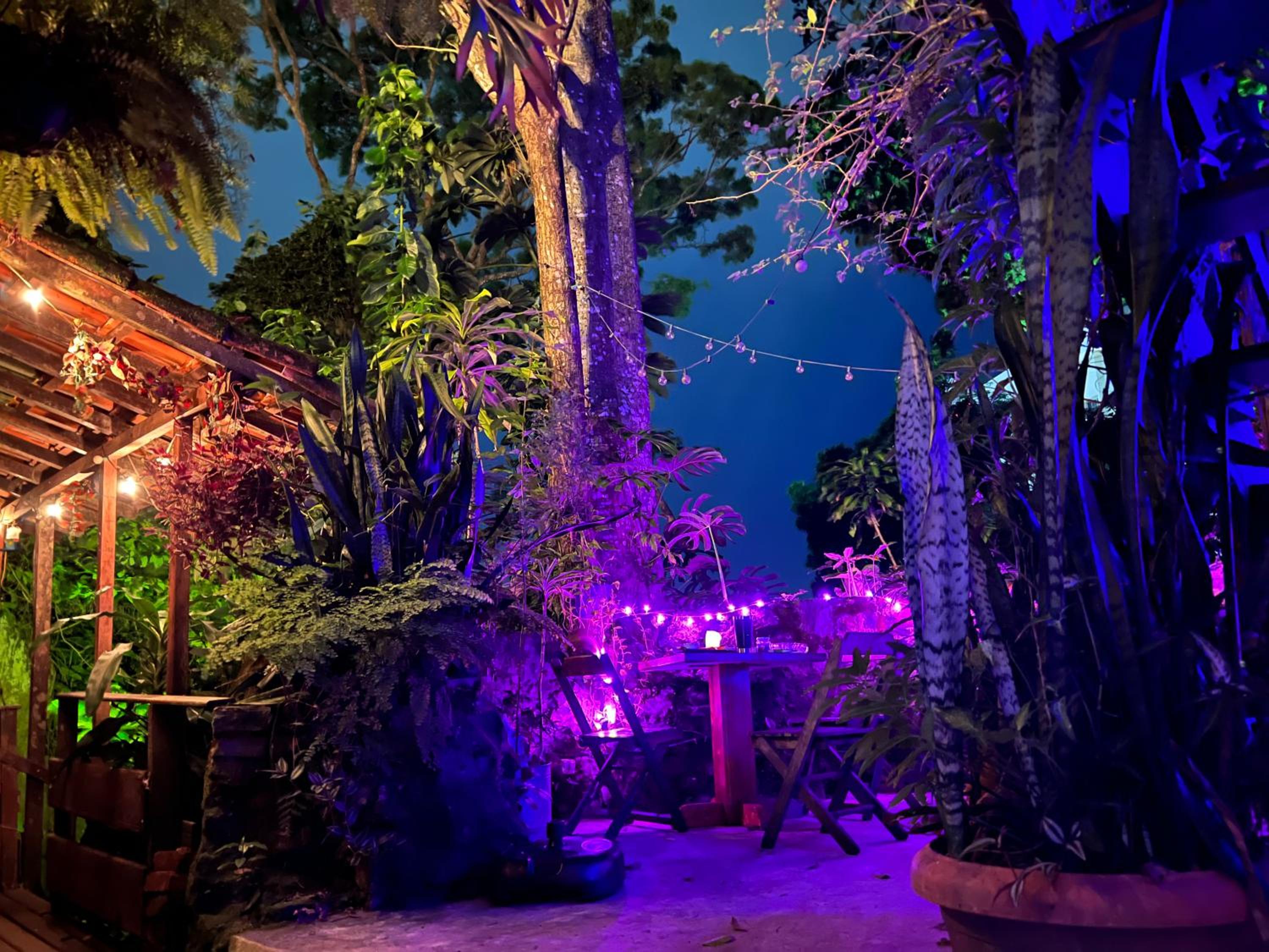 Amazing forest House in the city! Private guest suite - double studio room