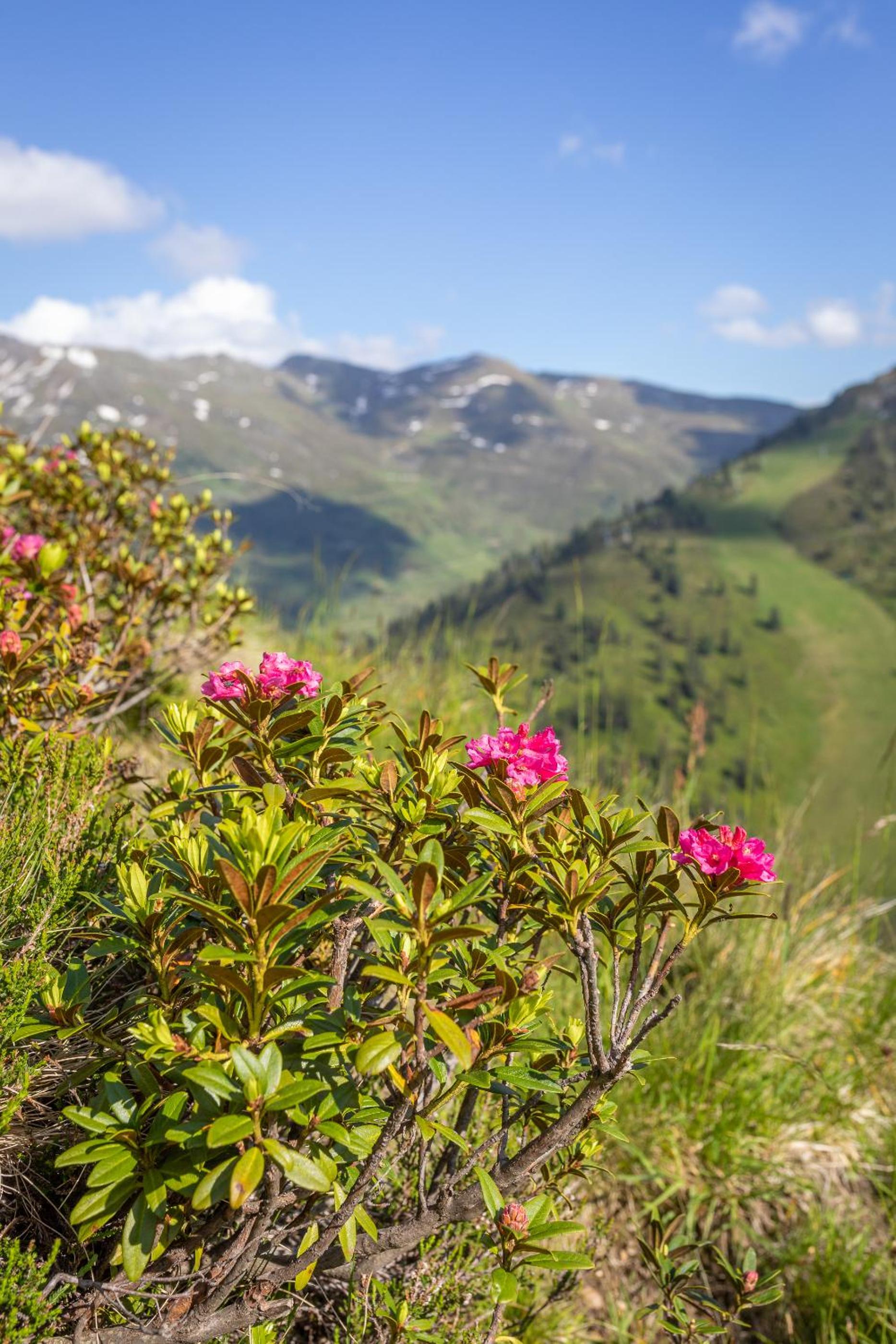 Haus Martina in Hochfügen - ohne Verpflegung