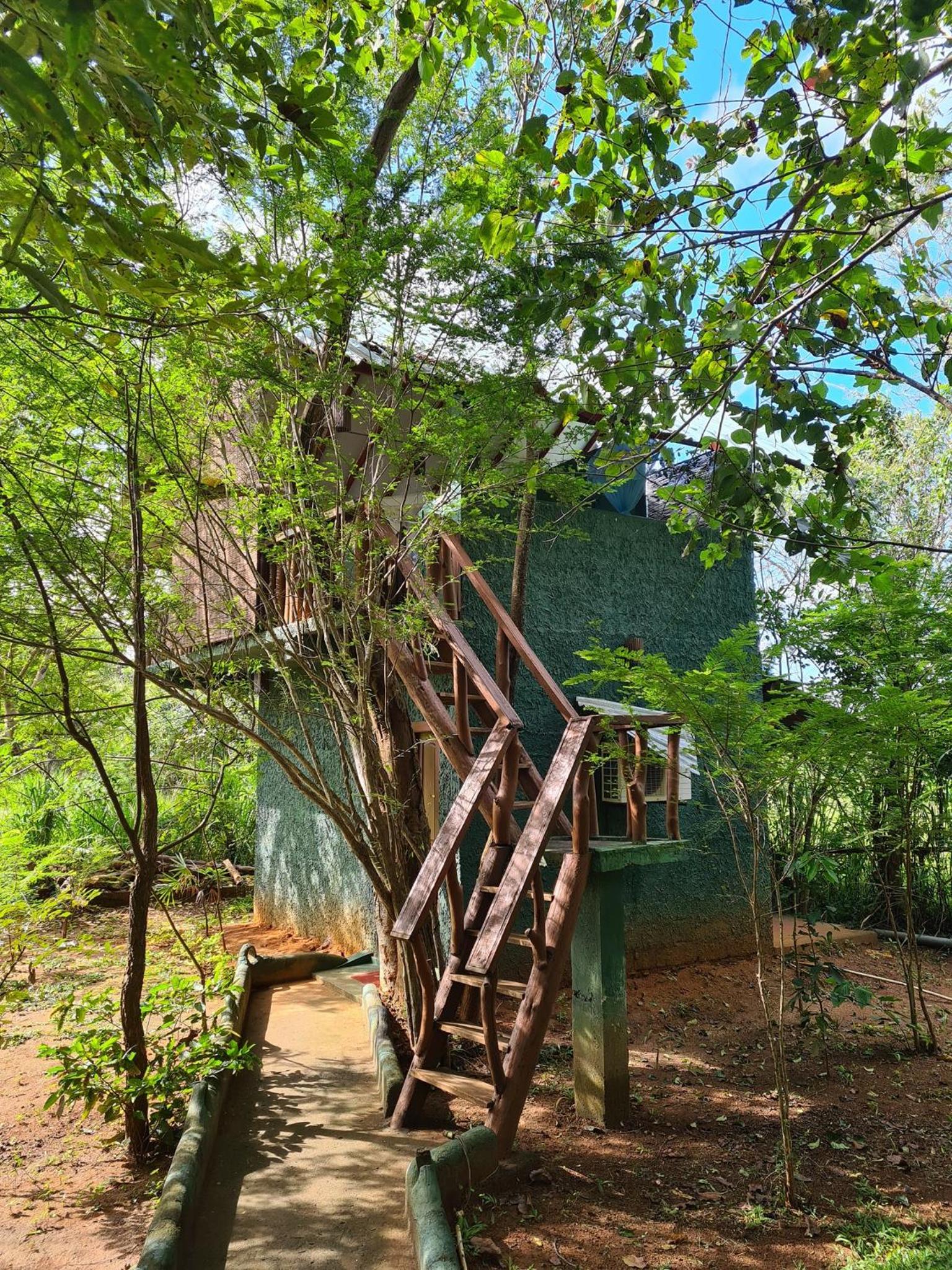 Sigiri Holiday Villa