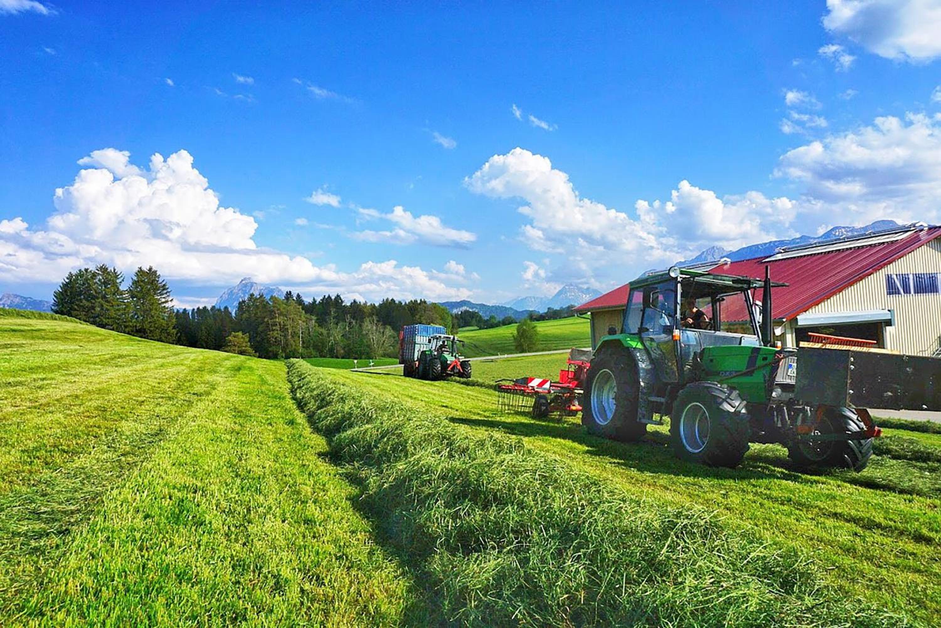 Panoramahof Breher