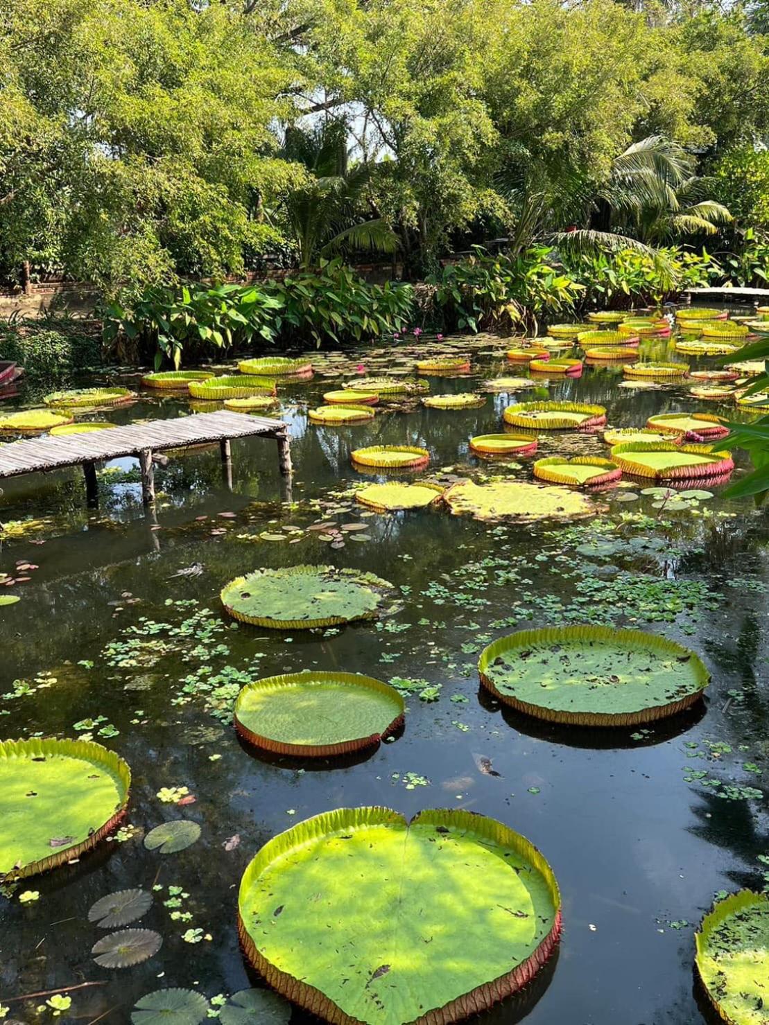 Muaan Resort