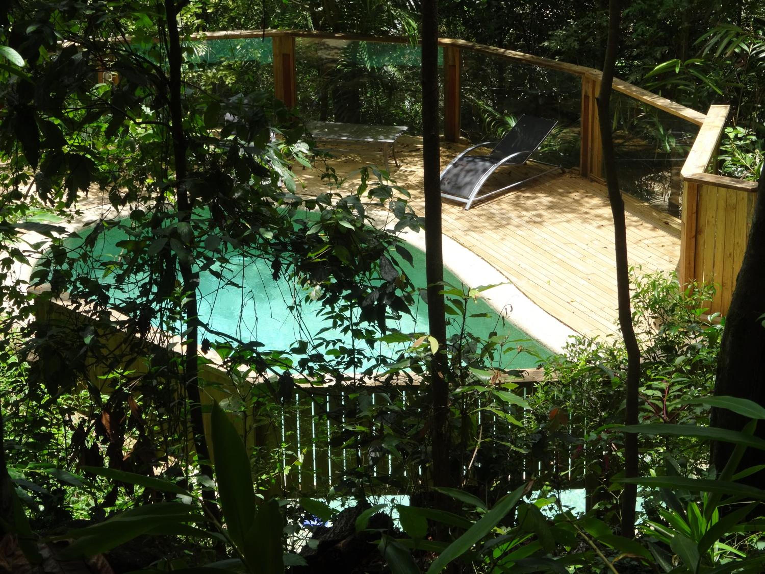 Treetops Montville