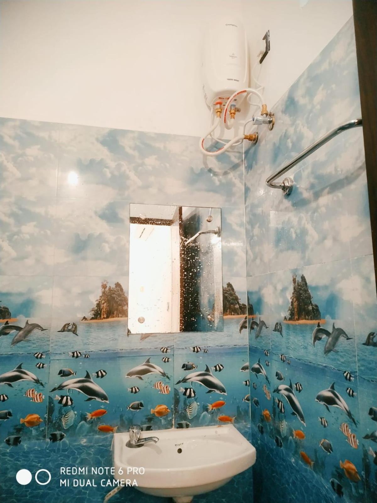 Photo 6