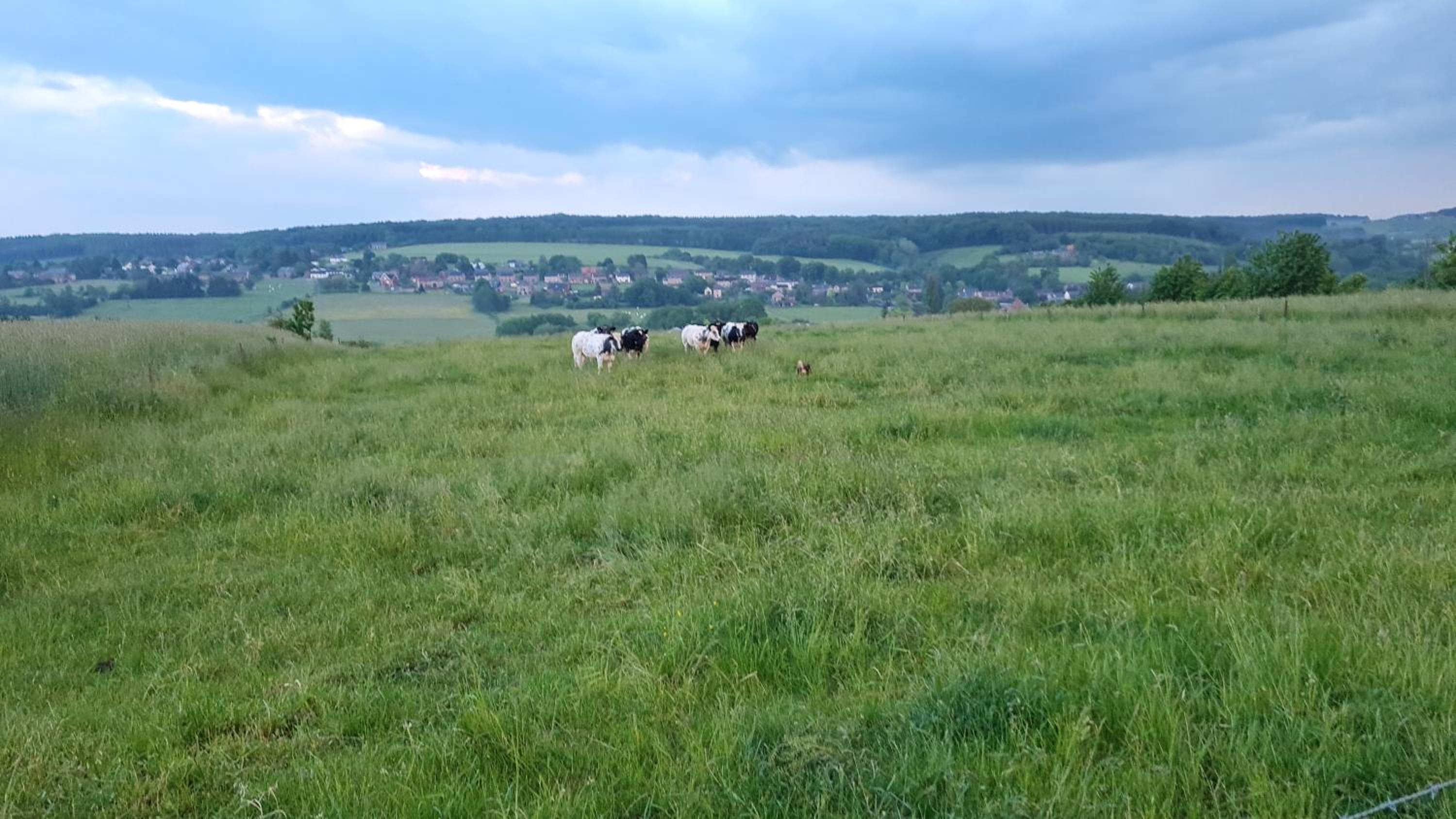 Rock and chill house with jacuzzi Namur Ardennes