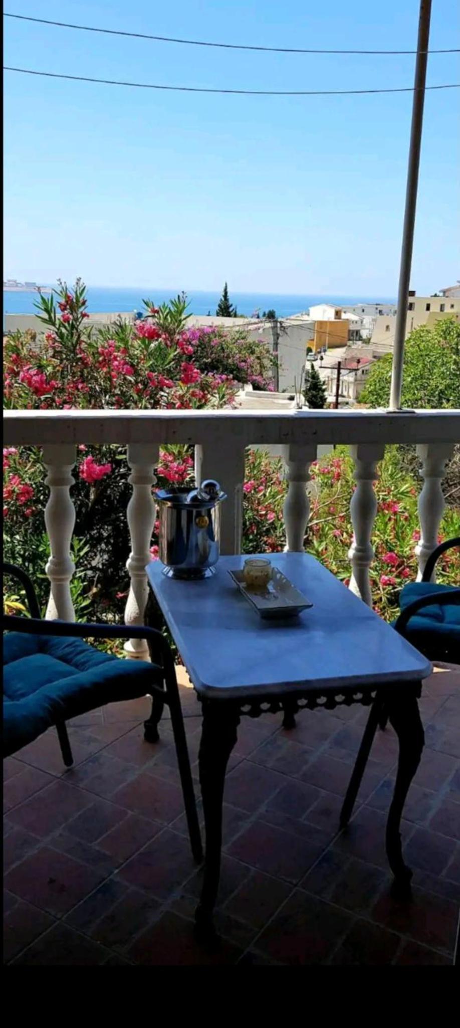 Villa Milicevic