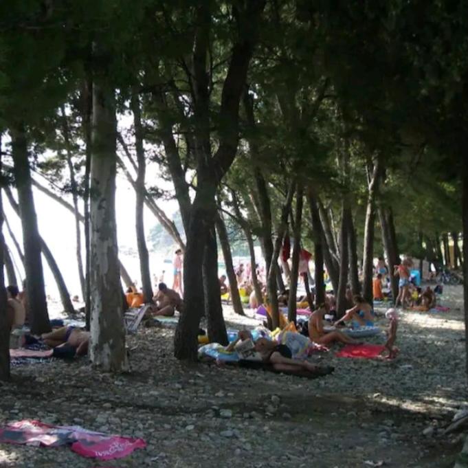 Villa Milicevic