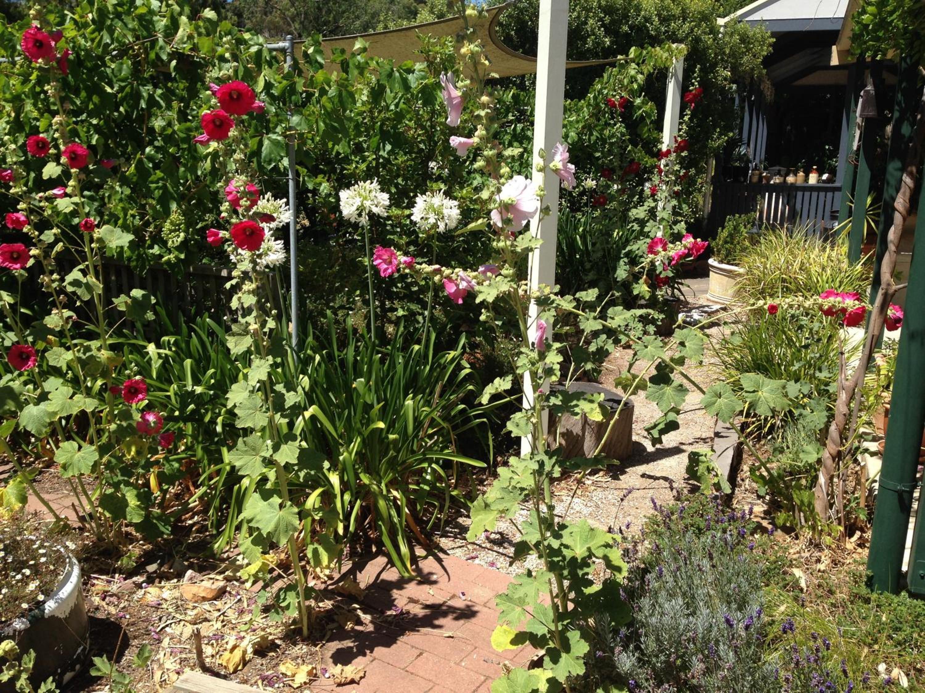 Clarevale Cottage B&B