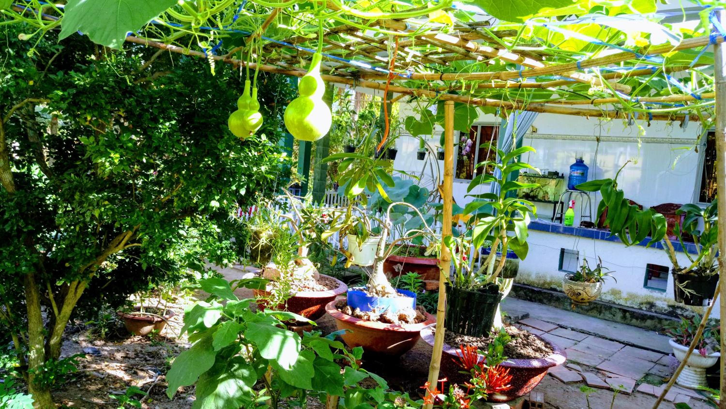 Coco Happy Farm view 5