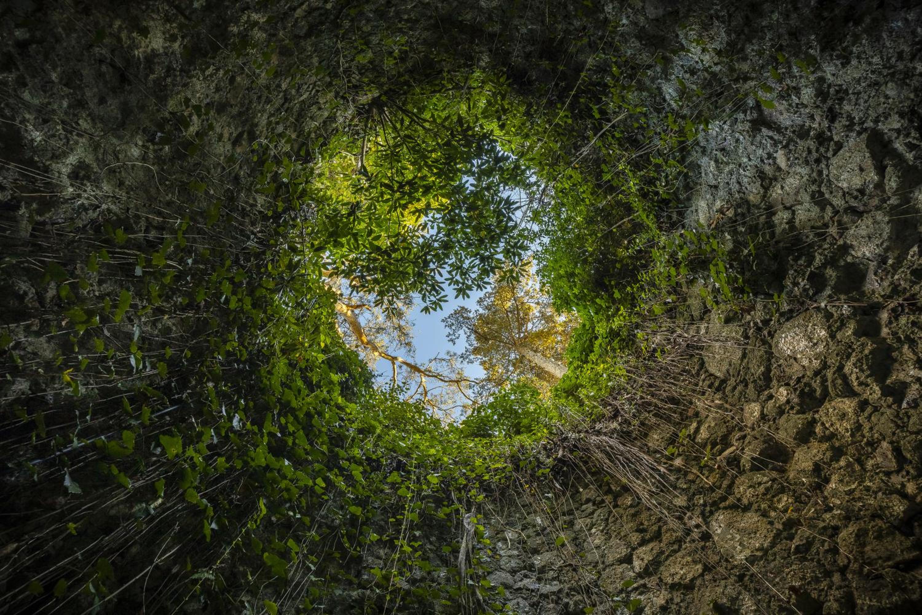 Sintra Marmoris Palace — photo 79