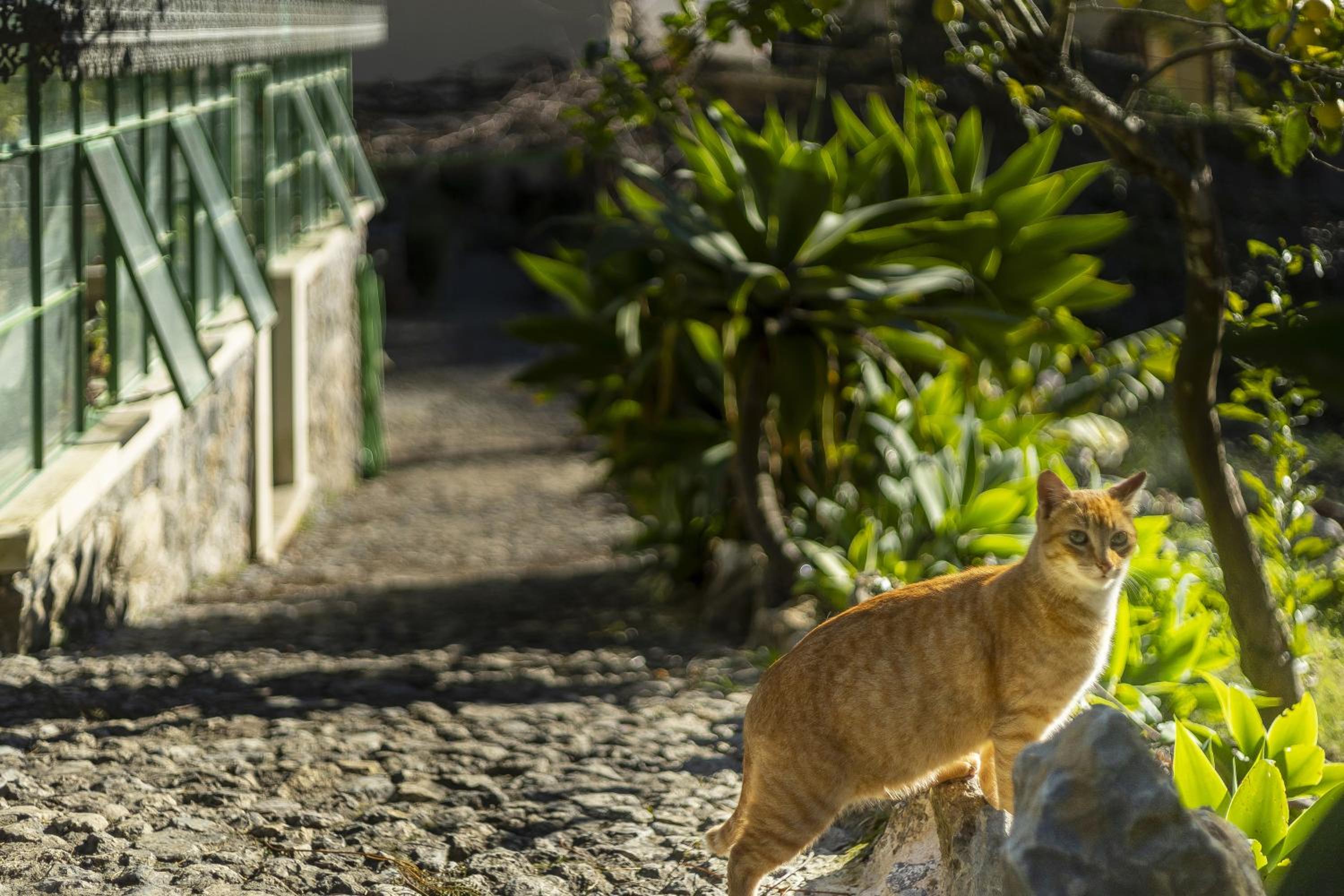 Sintra Marmoris Palace — photo 78